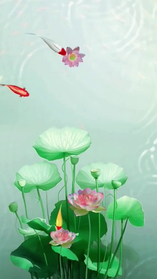 锦鲤荷花4k
