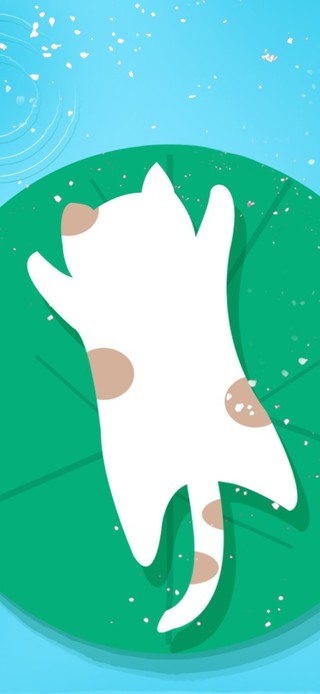 夏日清凉荷叶上的猫咪