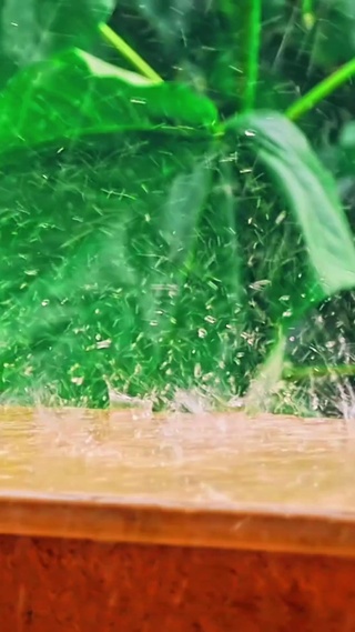 森林大雨