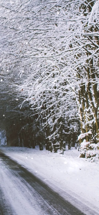 冬季雪景道路