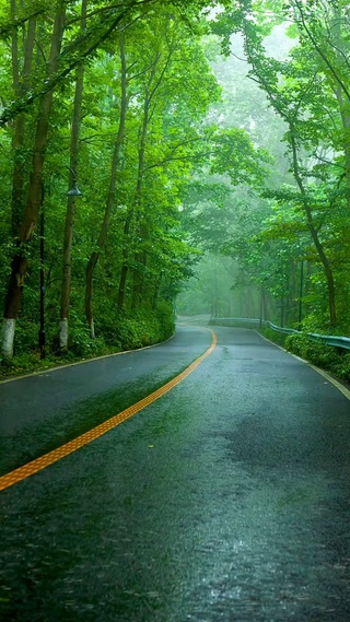 绿树成荫，小雨淅沥。深吸一口大自然的气息，沁人心脾！