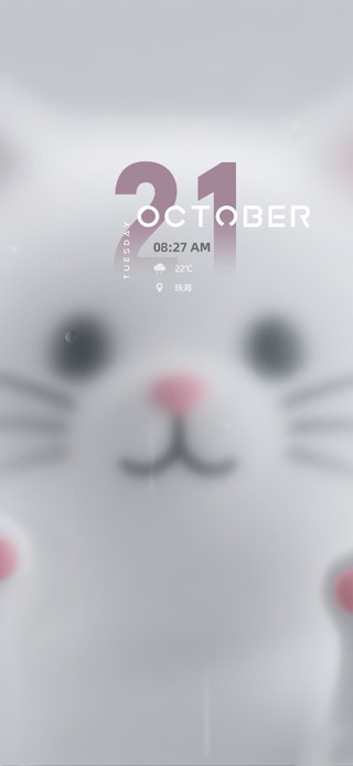 极致梦幻~玻璃窗内的小白喵~~