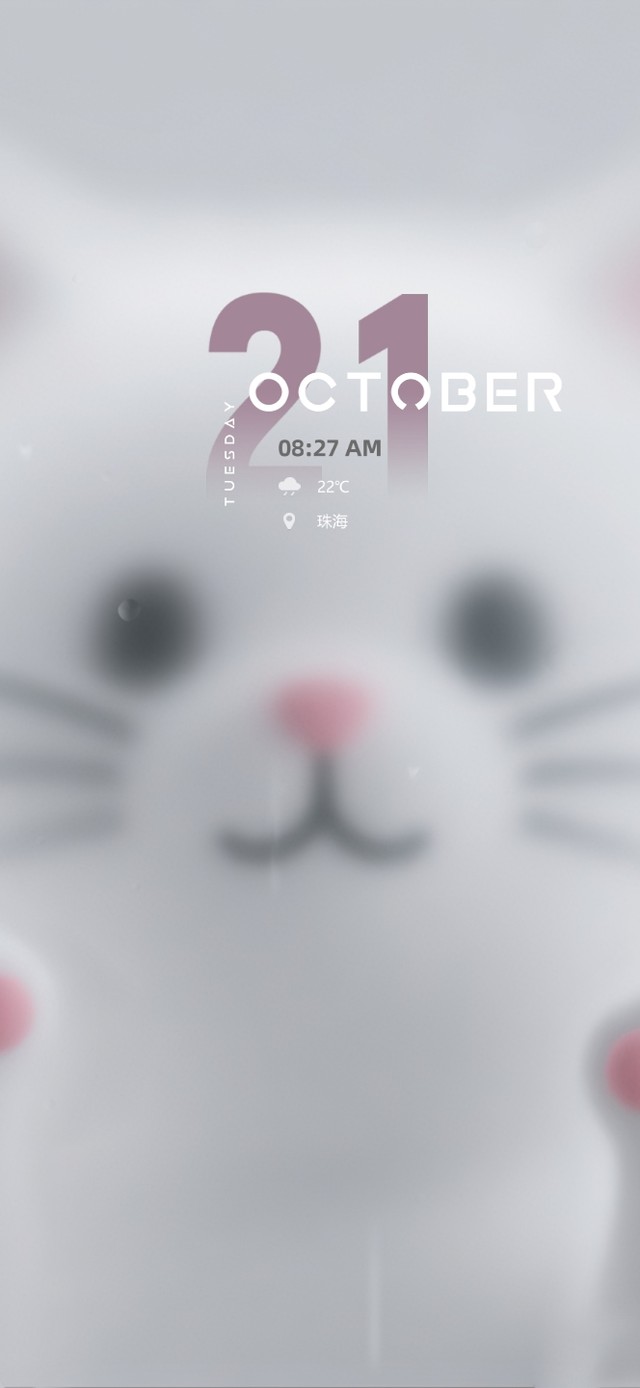 极致梦幻~玻璃窗内的小白喵~~