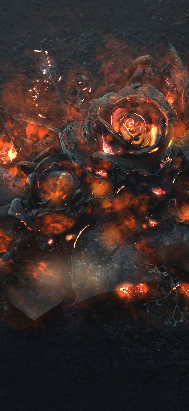 暗黑系列—浴火玫瑰