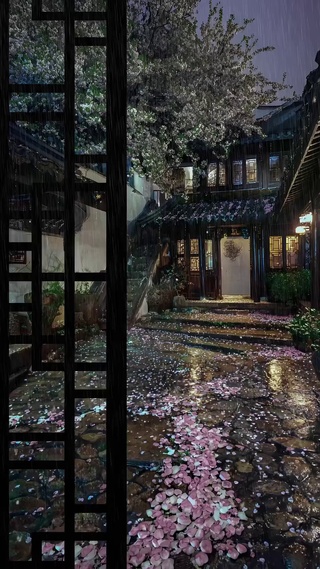 雨中小院
