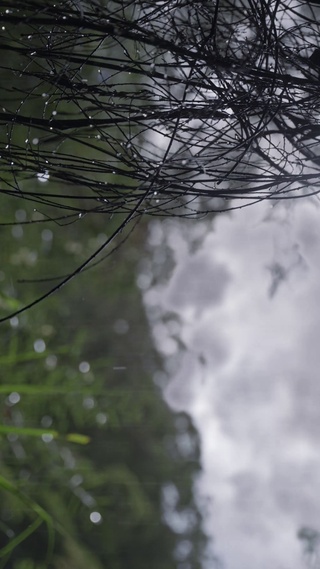 放松自然雨天
