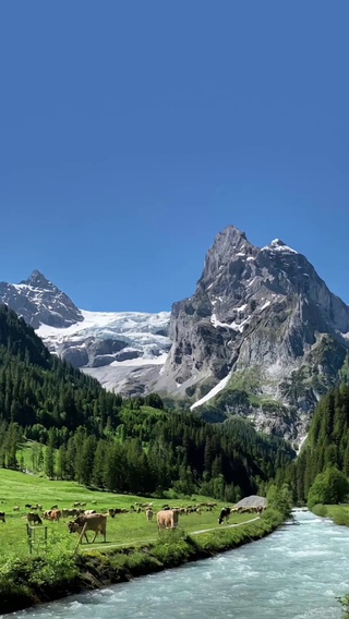 草原风景