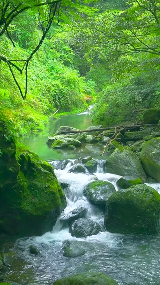 护眼绿林山涧流水