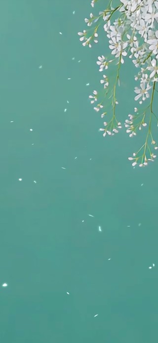 简约清新护眼花朵