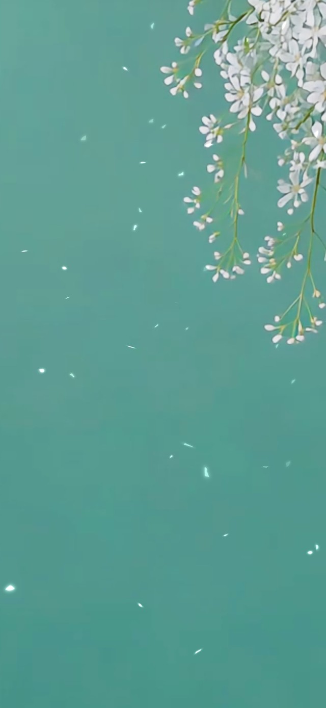 简约清新护眼花朵