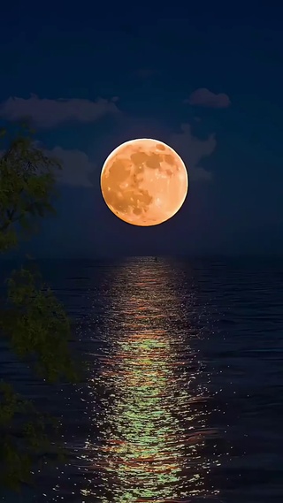 海上月色