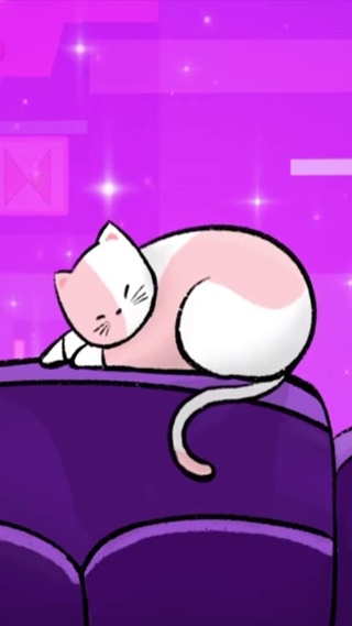 睡觉的猫咪