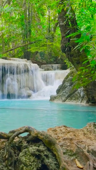 林间溪水潭