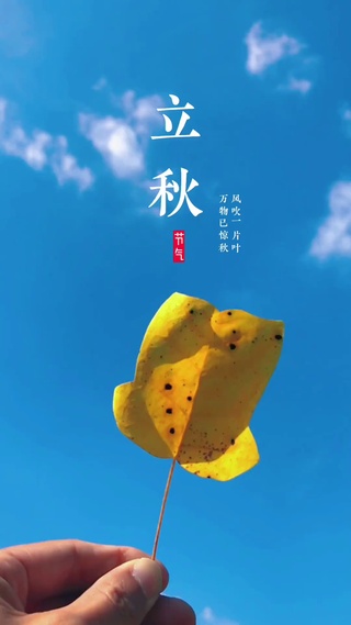 夏已尽，秋已至，一叶落，天下秋。