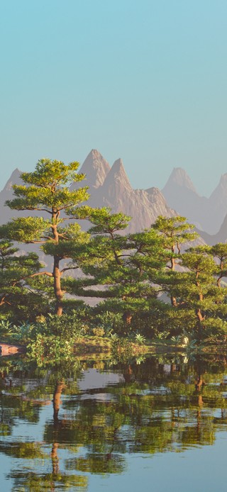 树林