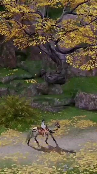 4K唯美自然风景
