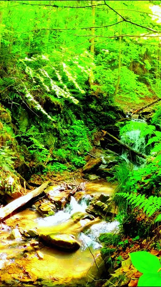 护眼山间小溪 4K