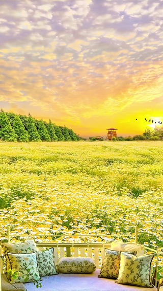 天空下的花海
