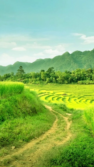 稻田小路，山峦蓝天