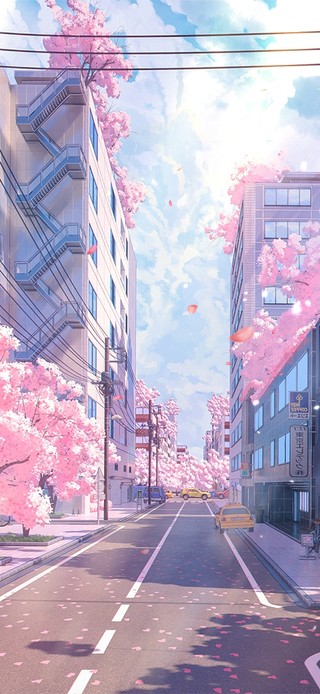 唯美樱花街道