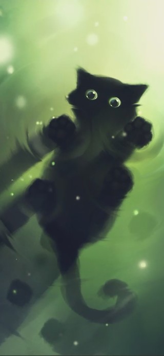 踩水猫咪