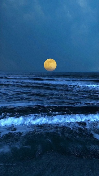 AI唯美海浪