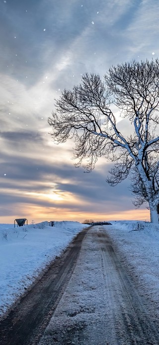 美丽的雪景壁纸 美丽的雪景手机壁纸 美丽的雪景手机动态壁纸 元气壁纸