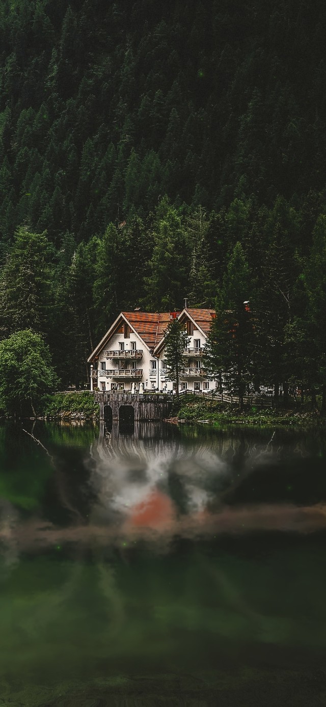 4K唯美治愈森林湖边小屋
