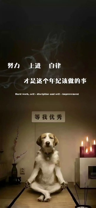 等我优秀