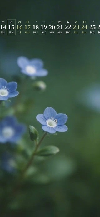 紫色小花