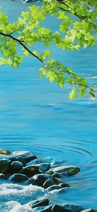 清新溪流