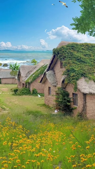 想去海边散心😿