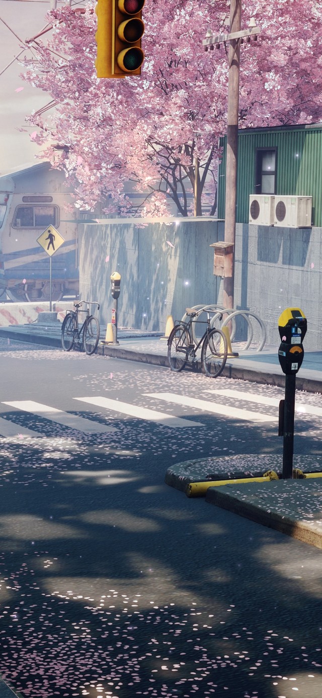 唯美治愈樱花街道