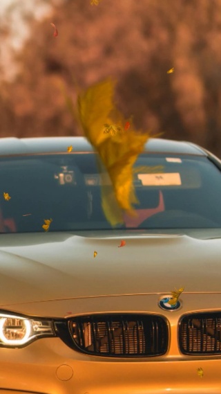 汽车