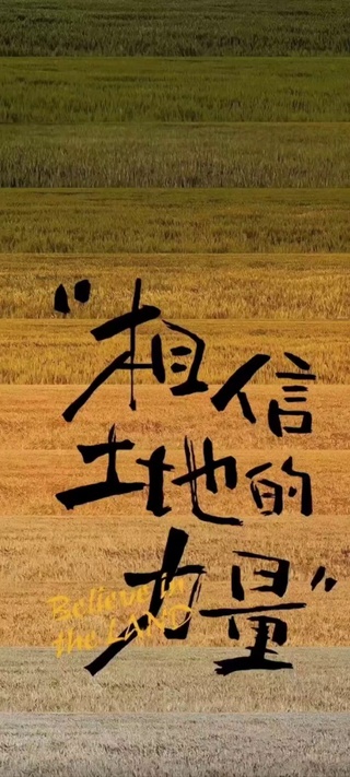 我是大哥