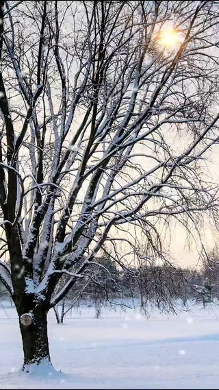 圣诞雪景