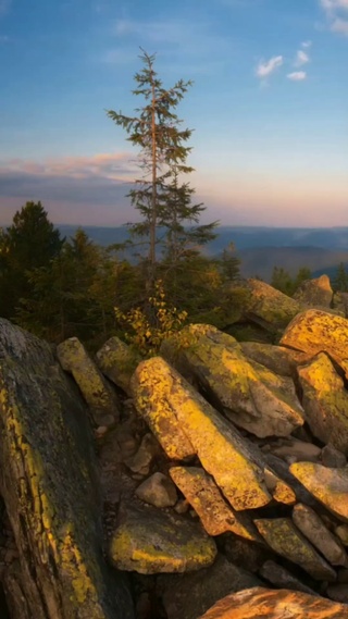 风景