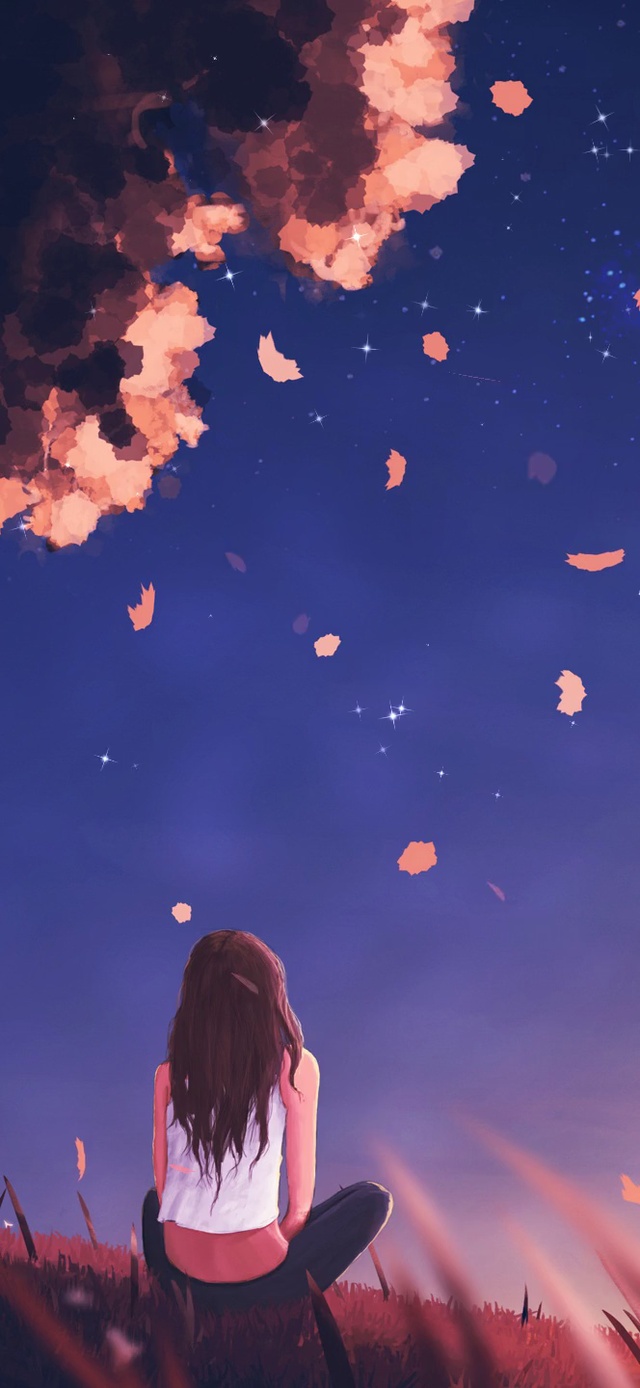 等你一起看流星雨