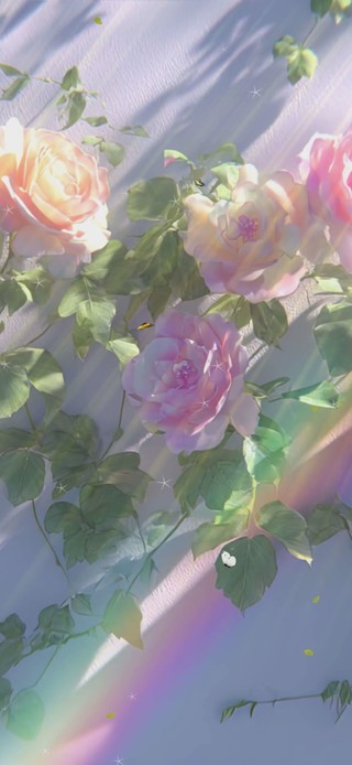小清新