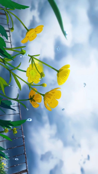 花儿