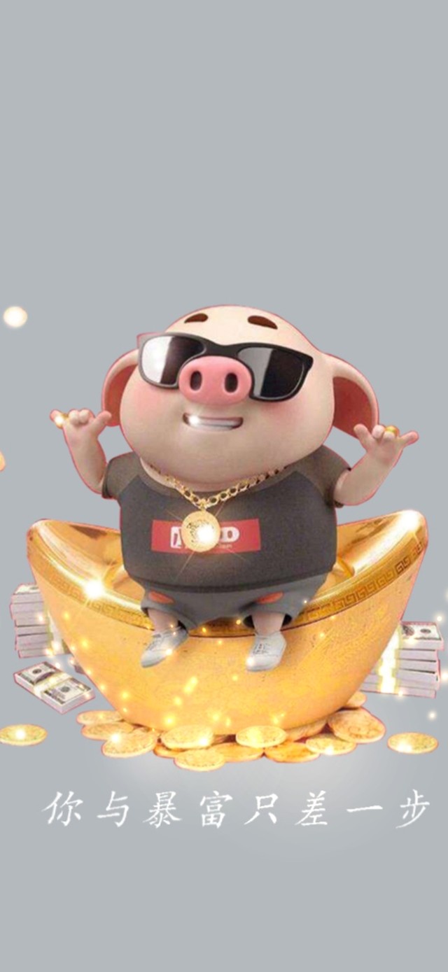 何以解忧，唯有暴富