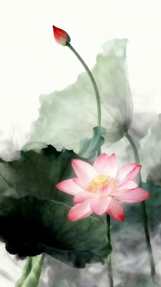 水墨画荷叶