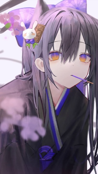 可爱猫猫_1