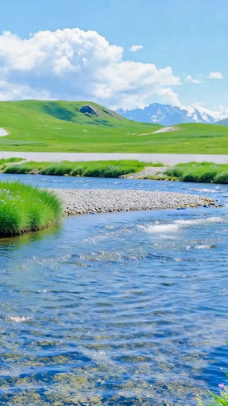 清新河畔绿草原野风景