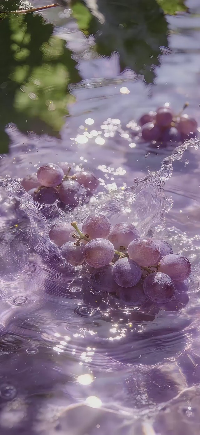 葡葡清甜一夏