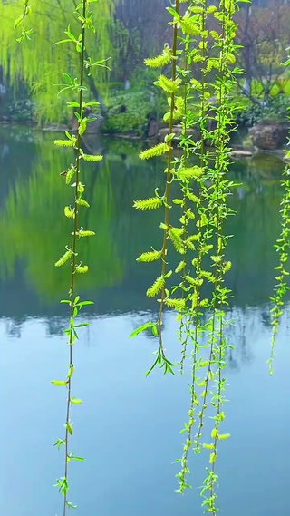 春风得意