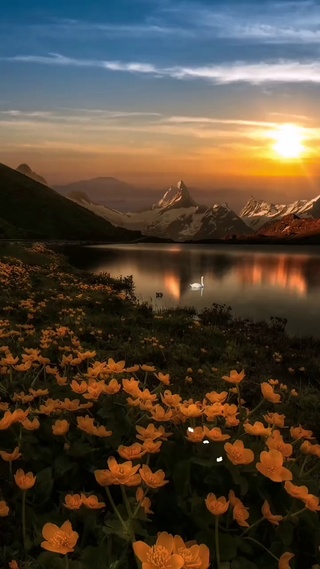 在一次又一次的太阳升落下，再爱一次人间