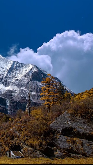 风景系列