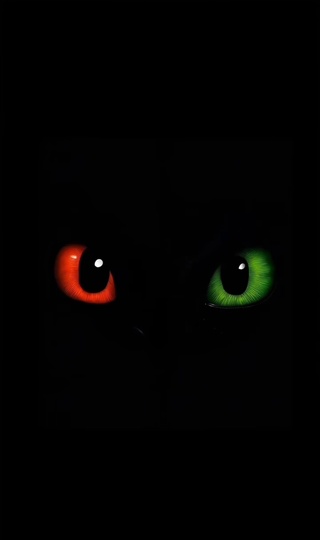 暗夜双瞳 