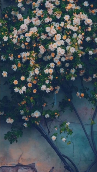 花儿
